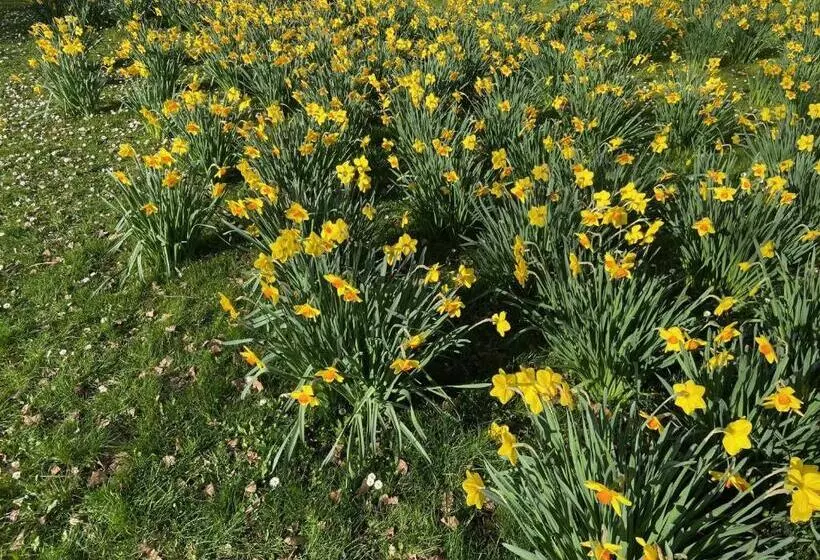 Hotelli Neues Haus   Berggasthof Und