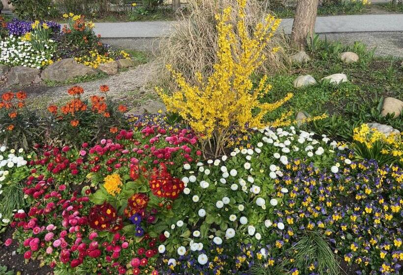 Hotel Neues Haus   Berggasthof Und
