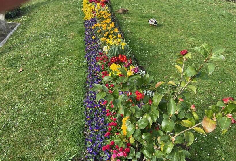 Hotel Neues Haus   Berggasthof Und