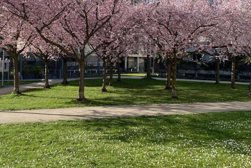 Hotel Neues Haus   Berggasthof Und