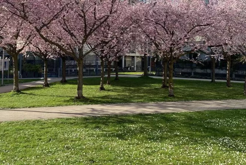 Hotelli Neues Haus   Berggasthof Und