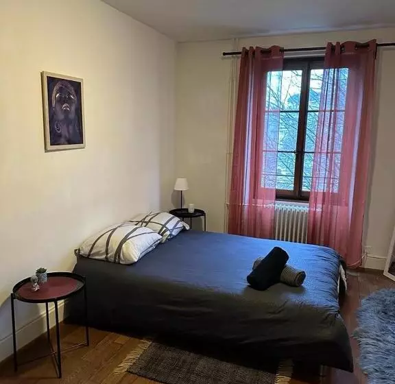 ペンション Chambre Double Montreux Centre Vue Lac