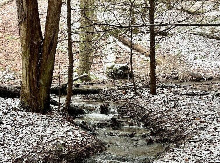 Bed and Breakfast Kane Manor Inn