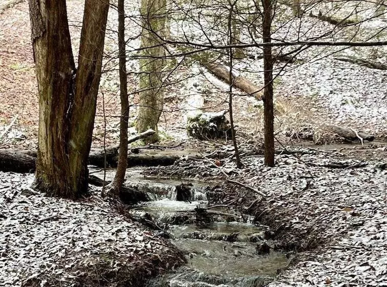 Aamiaismajoitus (B&B) Kane Manor Inn