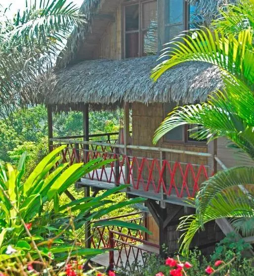 Aamiaismajoitus (B&B) Samai Lodge Holistic Living