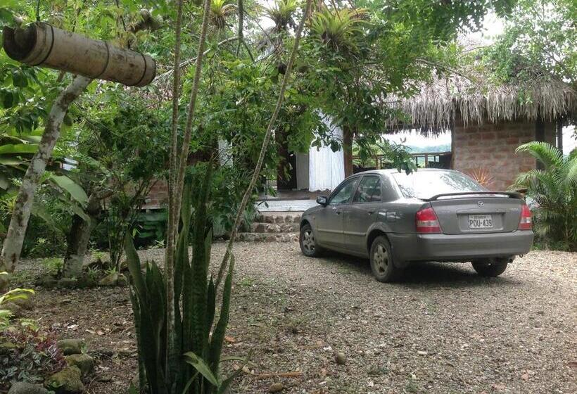 住宿加早餐 Samai Lodge Holistic Living