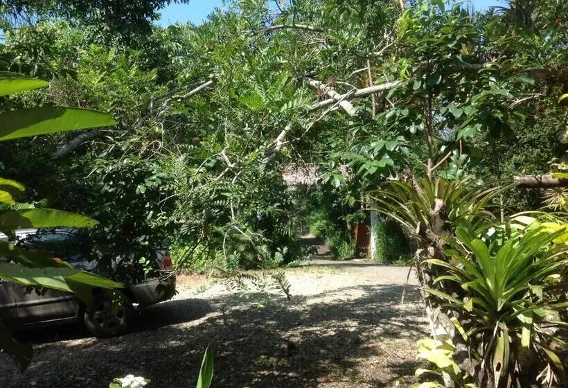 Aamiaismajoitus (B&B) Samai Lodge Holistic Living