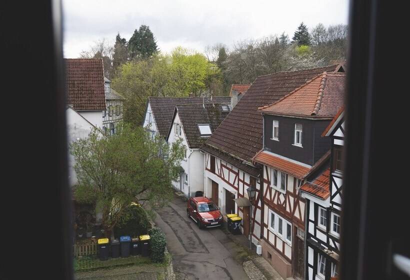 Общежитие Altstadt Quartier