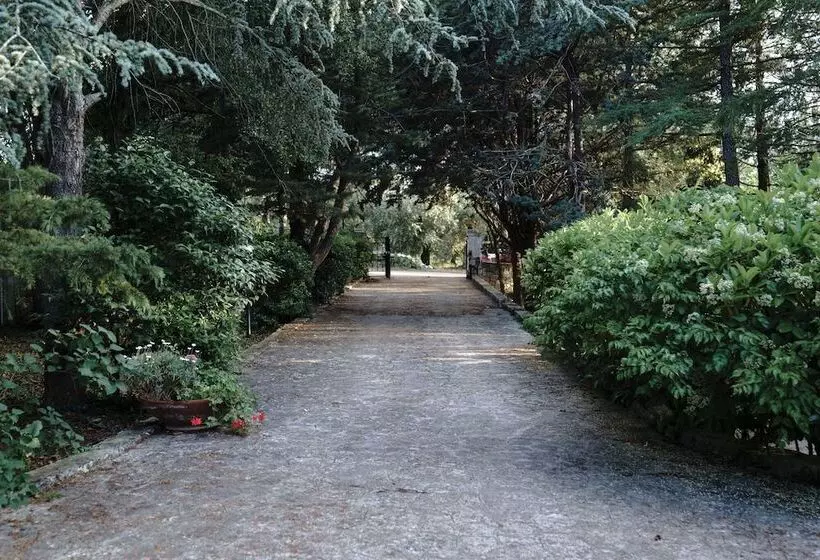 Aamiaismajoitus (B&B) Villa Dan