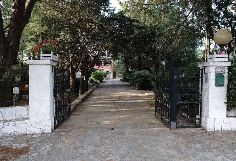 Aamiaismajoitus (B&B) Villa Dan