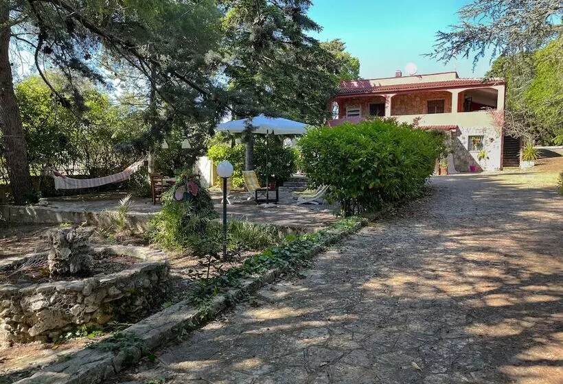 Aamiaismajoitus (B&B) Villa Dan