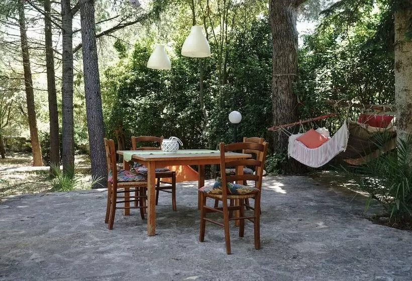 Aamiaismajoitus (B&B) Villa Dan