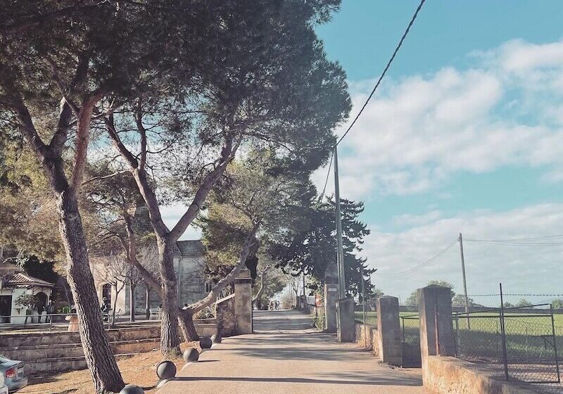 هتل Casa Mona Turismo De Interior