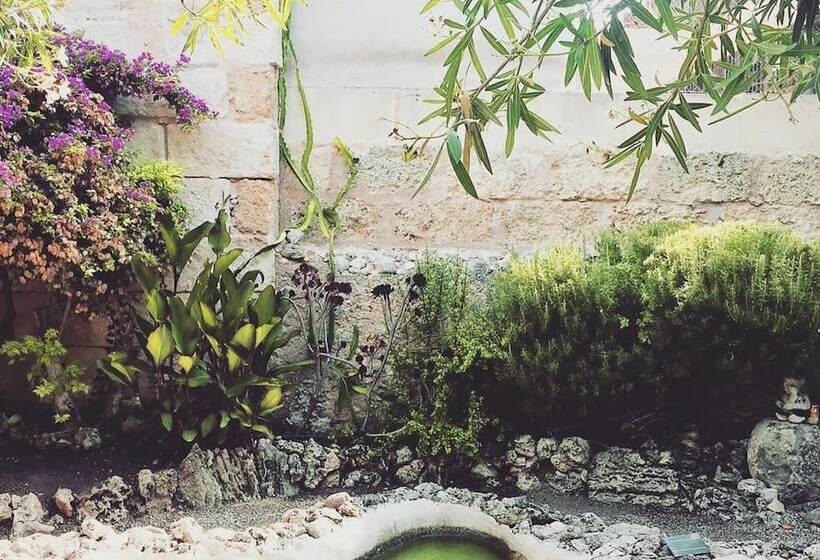 هتل Casa Mona Turismo De Interior