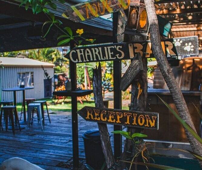 Schronisko Gladstone Backpackers