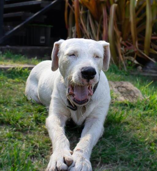 Schronisko Gladstone Backpackers