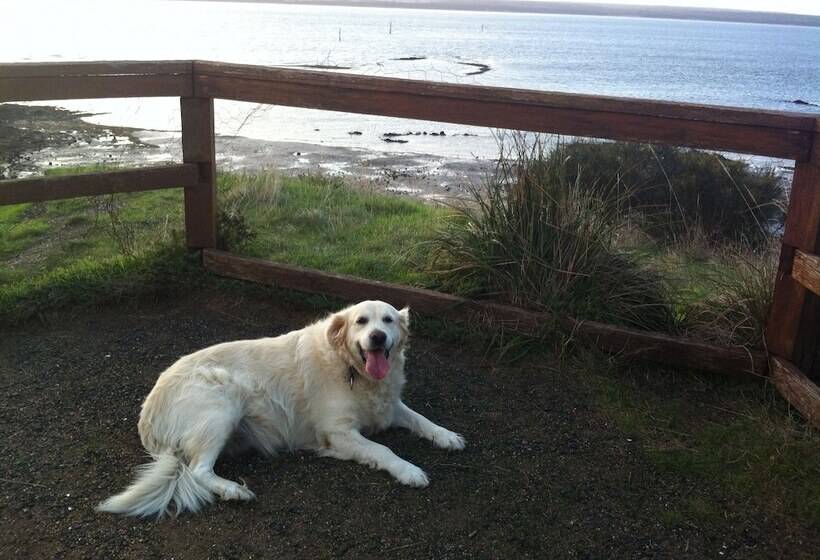 Corinella On The Esplanade Bed & Breakfast