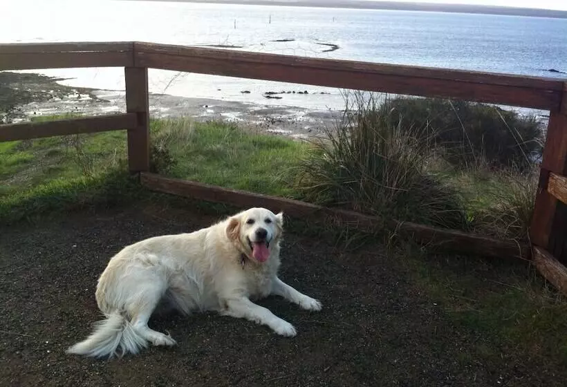 Corinella On The Esplanade Bed & Breakfast
