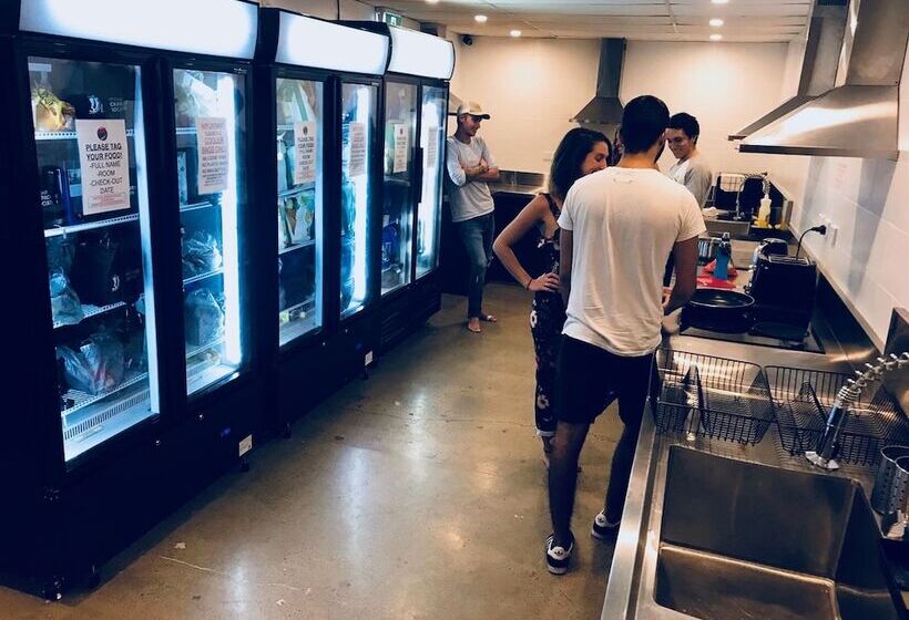 Down Under Hostels   Surfers Paradise