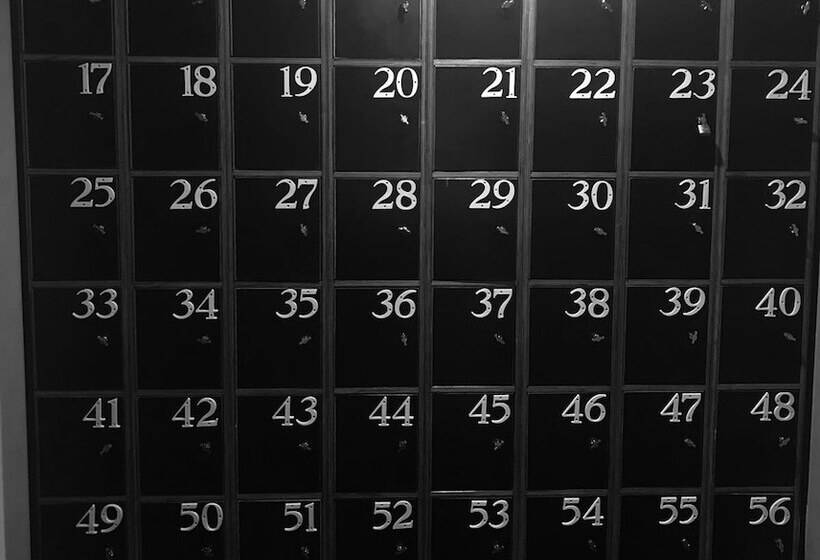 Down Under Hostels   Surfers Paradise