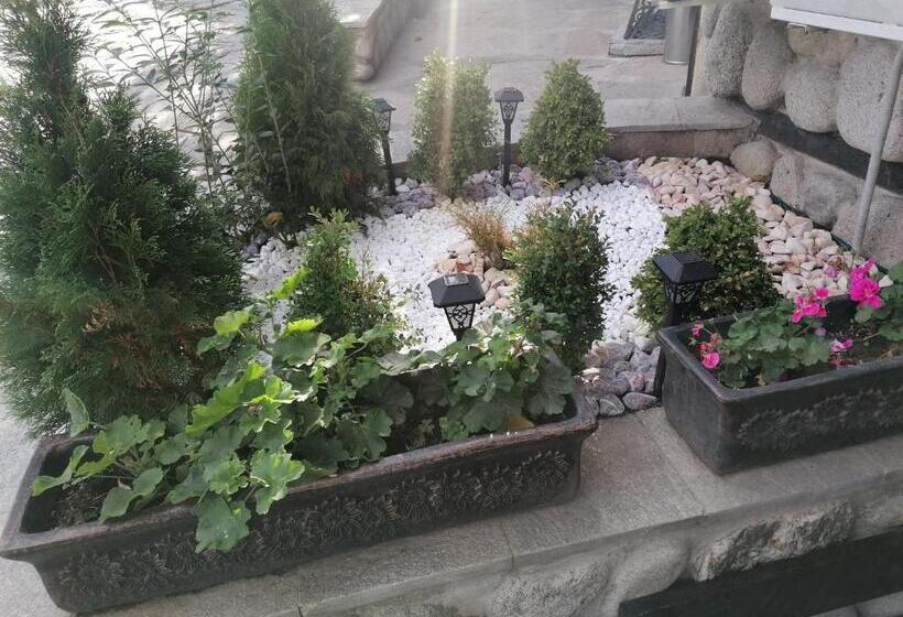 هتل Petkov Family