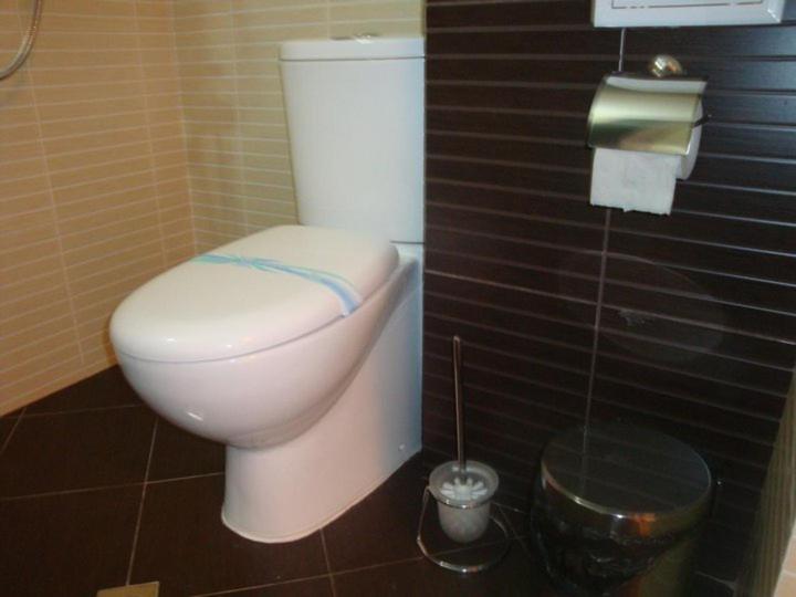 בית מלון כפרי Tzvetelina Palace