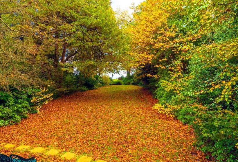 צימר Arnica Views Summit Retreat