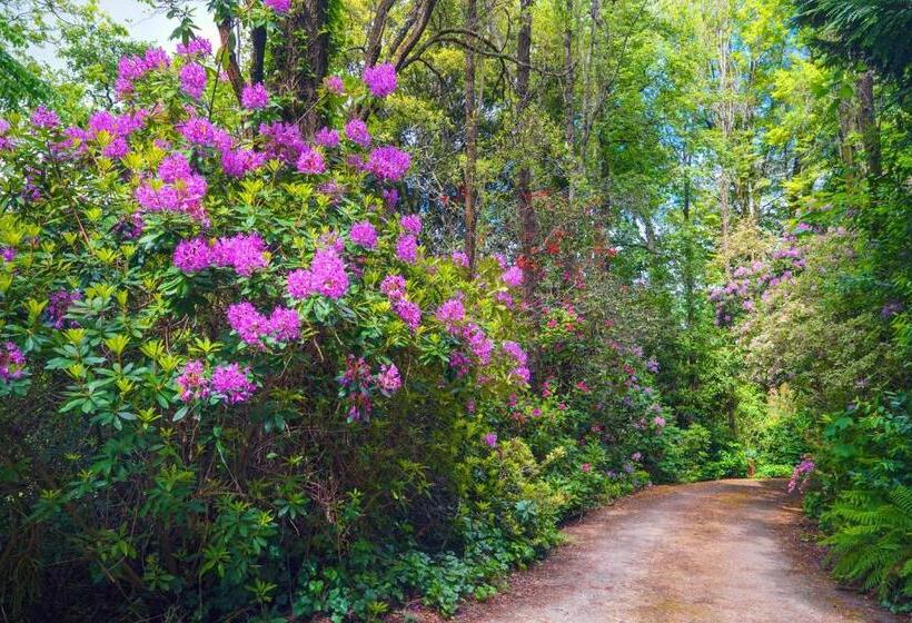 צימר Arnica Views Summit Retreat