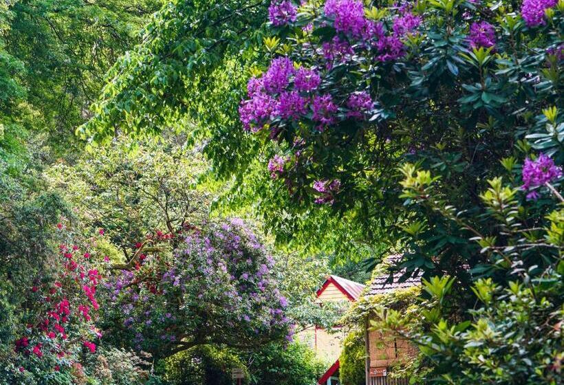 צימר Arnica Views Summit Retreat