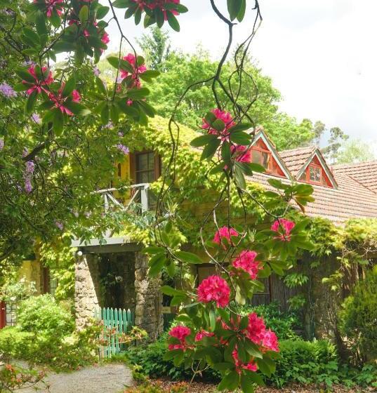 צימר Arnica Views Summit Retreat