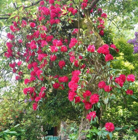 צימר Arnica Views Summit Retreat