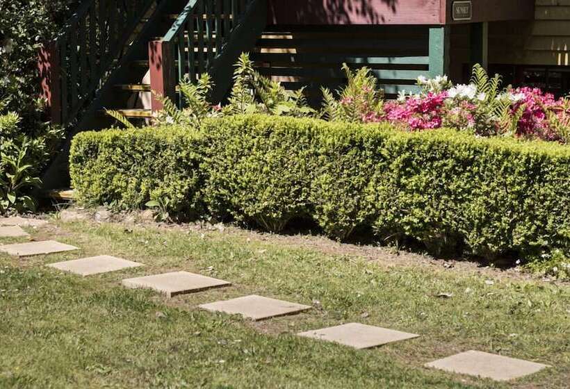 צימר Arnica Views Summit Retreat