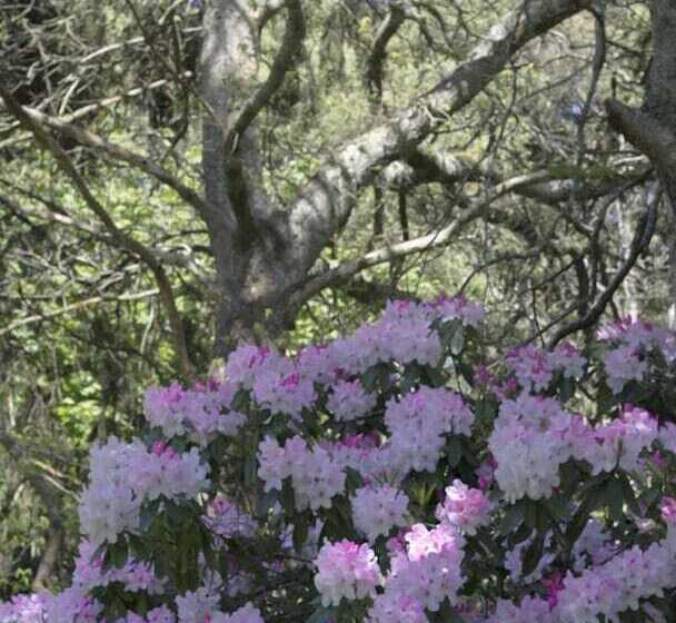 צימר Arnica Views Summit Retreat