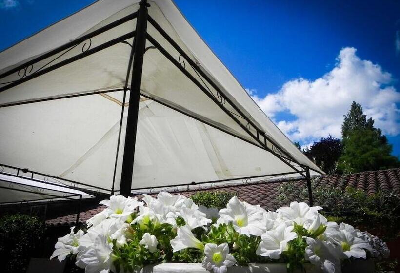 تختخواب و صبحانه Avanguardia Art Club