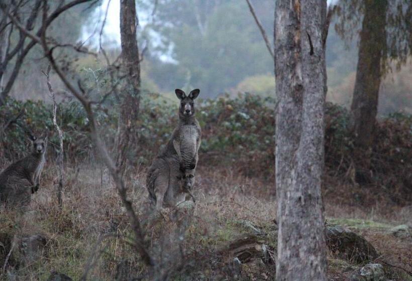 住宿加早餐  Blue Cliffs Retreat