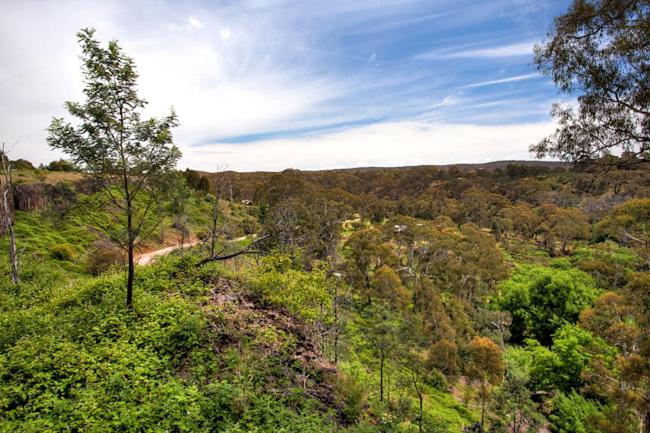 住宿加早餐  Blue Cliffs Retreat