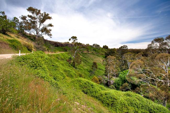 住宿加早餐  Blue Cliffs Retreat