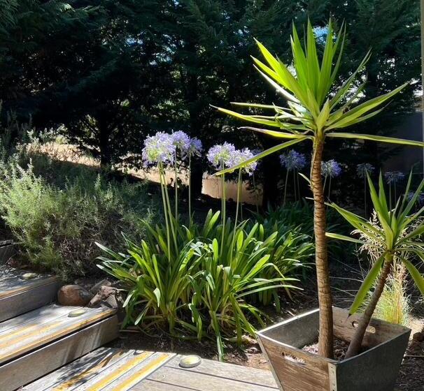 住宿加早餐  Blue Cliffs Retreat