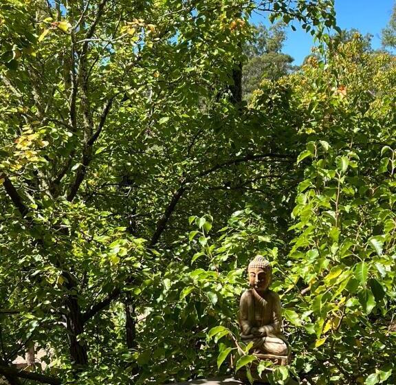 住宿加早餐  Blue Cliffs Retreat