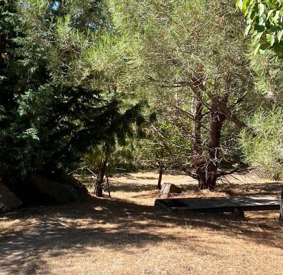 住宿加早餐  Blue Cliffs Retreat