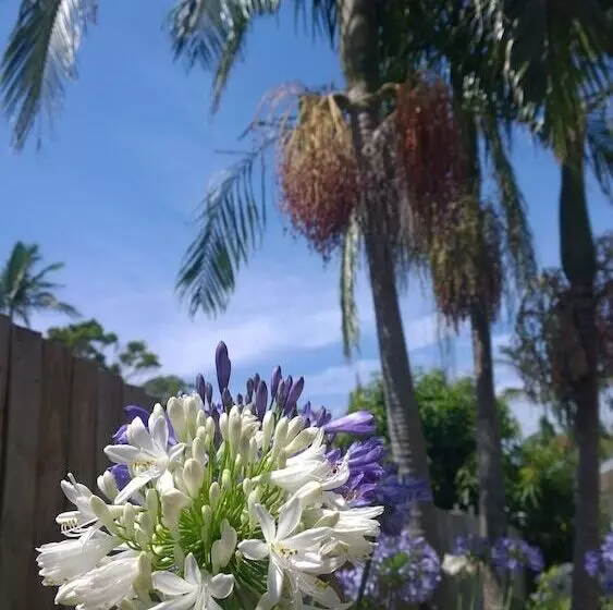 Aamiaismajoitus (B&B) Byron Palms Guesthouse & Spa   Adults Only