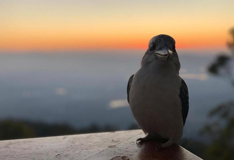 Bed and Breakfast The Polish Place