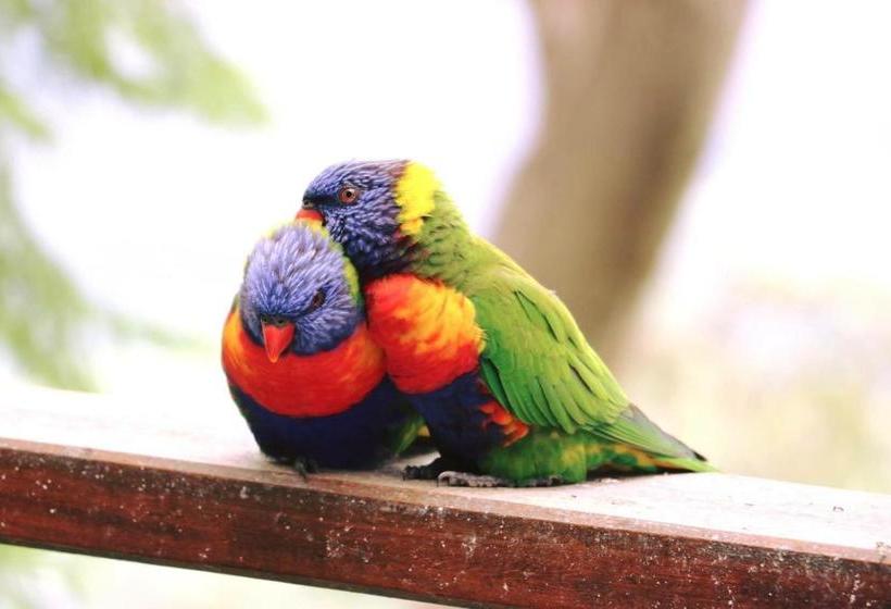 Bed and Breakfast The Polish Place