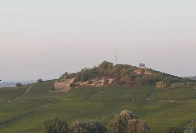 Bed and Breakfast Villa Vecchio