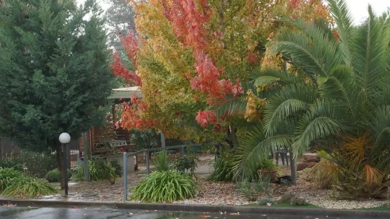 Golden Leaf Motel