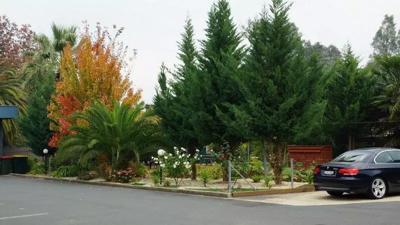 Golden Leaf Motel
