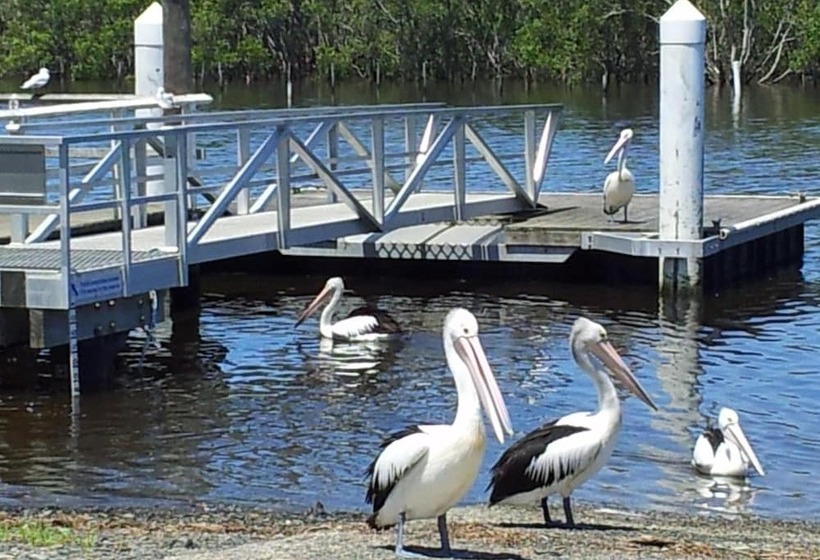 Harrington Village Motel