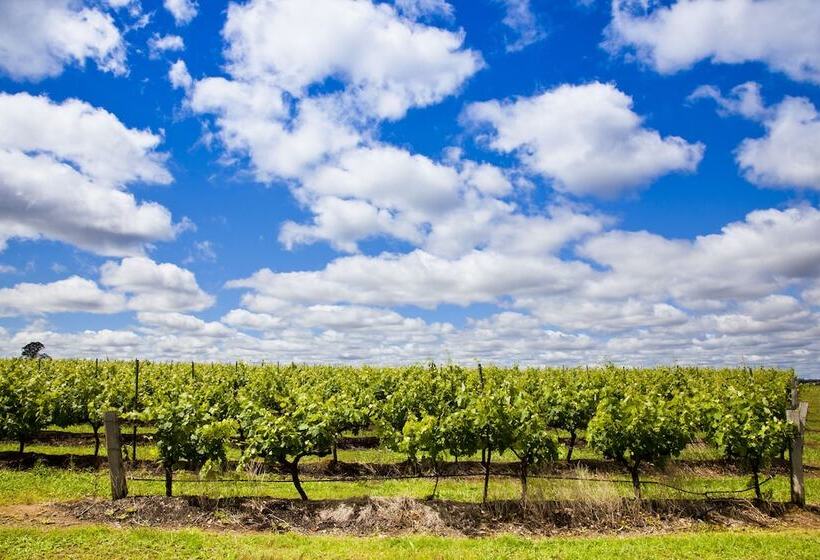 汽车旅馆 Adina Vineyard