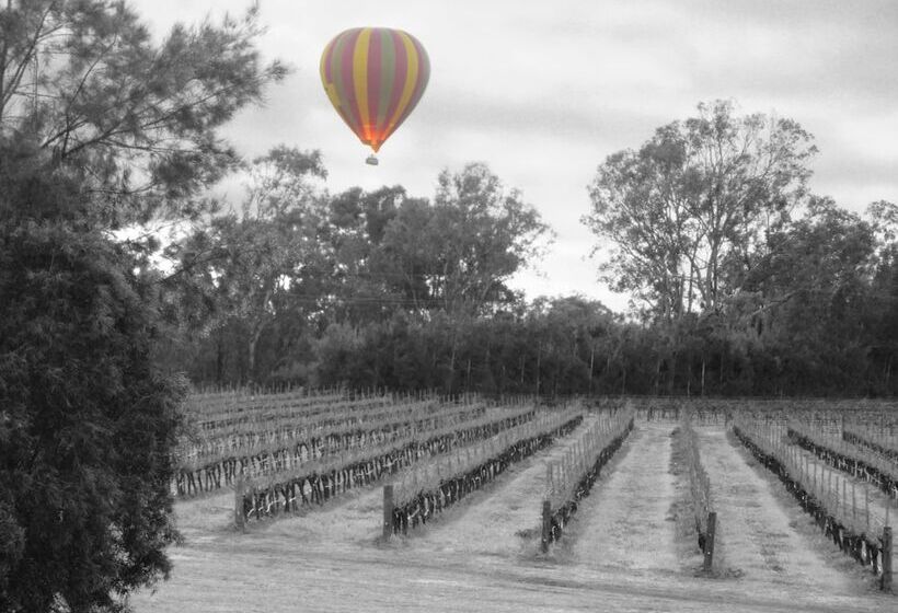 汽车旅馆 Adina Vineyard