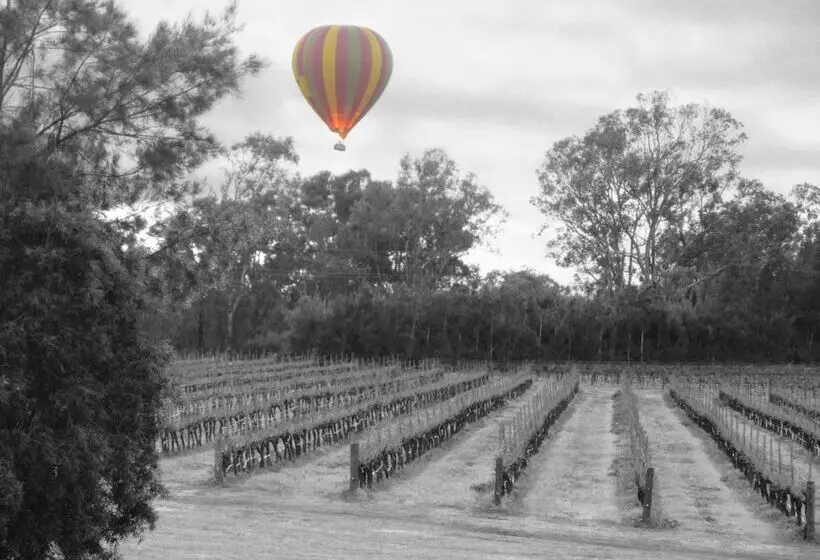 Motelli Adina Vineyard